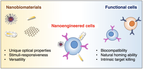 Cell nanoengineering